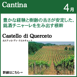 �����̂������߃��C�i���[